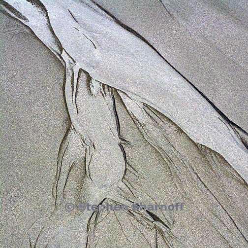 river edge 8 graphic